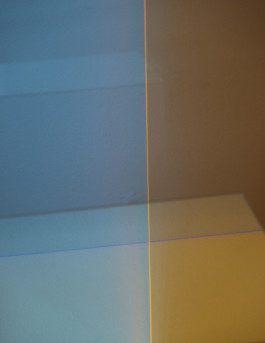  DEBORA BRUNE